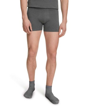 Falke 2-Pack Boxer Daily Comfort Erkek Boxer & Slips Gri | 30DMOBTQF