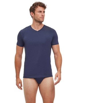 Falke 2-Pack T-Shirt V-neck Daily Comfort Erkek Kısa Kollu Gömlek Gri | 29LRJVHON