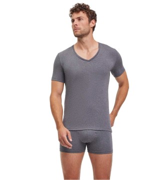 Falke 2-Pack T-Shirt V-neck Daily Comfort Erkek Kısa Kollu Gömlek Gri | 68XBPWNYL