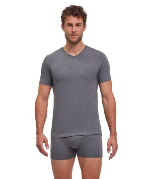 Falke 2-Pack T-Shirt V-neck Daily Comfort Erkek Kısa Kollu Gömlek Gri | 19DXIHYON