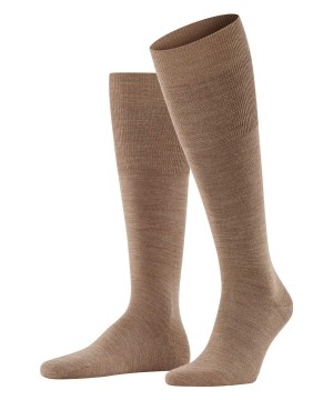 Falke Airport Knee-high Socks Erkek Çorap Kahverengi | 53CAKDUXH