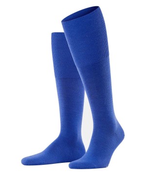 Falke Airport Knee-high Socks Erkek Çorap Mavi | 57TLODKFE