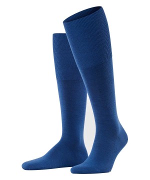 Falke Airport Knee-high Socks Erkek Çorap Mavi | 87VQBWMXK