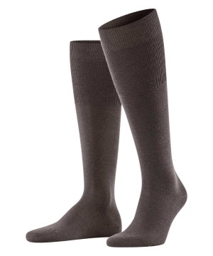 Falke Airport Knee-high Socks Erkek Çorap Kahverengi | 72HRYNOLK