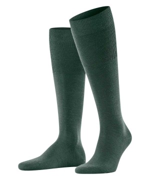 Falke Airport Knee-high Socks Erkek Çorap Yeşil | 69MTRQUSX