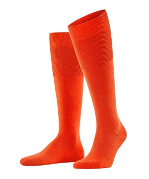 Falke Airport Knee-high Socks Erkek Çorap Turuncu | 83OAQMFIT