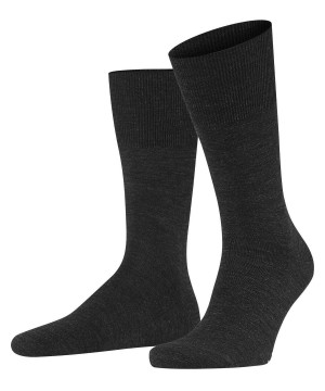 Falke Airport Socks Erkek Çorap Gri | 34ZXULWDO