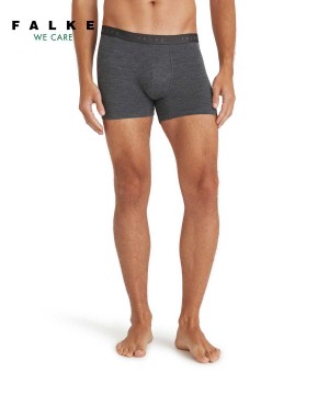 Falke Boxer Daily ClimaWool Erkek Boxer & Slips Gri | 25YSTVKMR