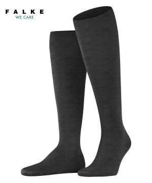 Falke ClimaWool Knee-high Socks Erkek Çorap Gri | 94ALVYSNI