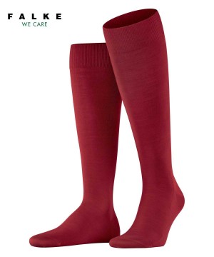 Falke ClimaWool Knee-high Socks Erkek Çorap Kırmızı | 05RAJPESY