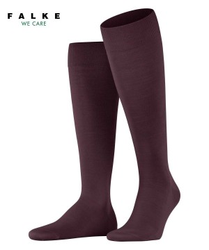Falke ClimaWool Knee-high Socks Erkek Çorap Kırmızı | 14VQJZPRH
