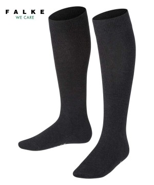 Falke Family Knee-high Socks Çocuk Çorap Gri | 19DIZKXMW