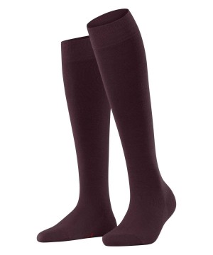 Falke Softmerino Knee-high Socks Kadın Çorap Kırmızı | 07TZPYICJ