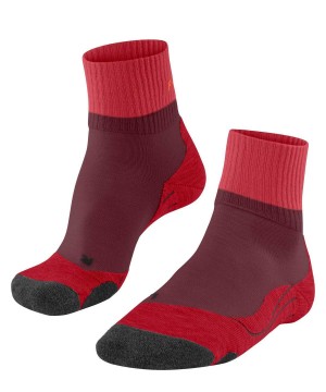Falke TK2 Explore Short Trekking Short sock Kadın Sports Socks Kırmızı | 17LGXPDCF