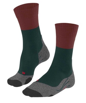 Falke TK2 Explore Trekking Socks Erkek Çorap Yeşil | 91DGCWVAZ
