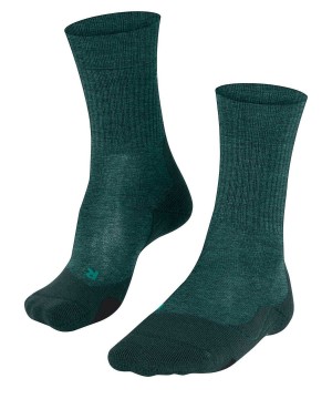 Falke TK2 Explore Wool Trekking Socks Erkek Çorap Yeşil | 85NMZLUAS
