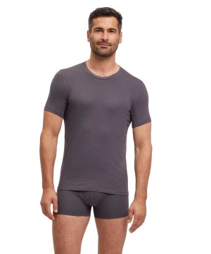 Falke T-Shirt Round-neck Daily Climate Control Erkek Kısa Kollu Gömlek Gri | 86EASQGNP