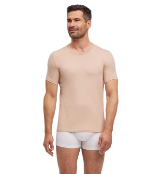 Falke T-Shirt Round-neck Daily Climate Control Erkek Kısa Kollu Gömlek Kahverengi | 49GVRDHPN